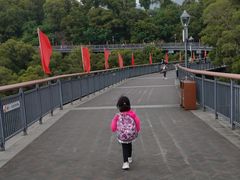 -金鸡山公园