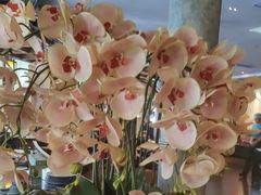 -八府香鸭·啫啫煲(华山路店)