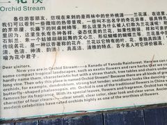 -呀诺达热带雨林