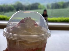 -白茶原·一片叶子