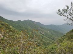 -北京凤凰岭