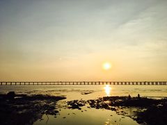 -宝安西湾红树林湿地公园