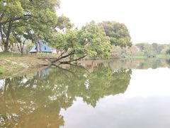 -无锡梅园公园