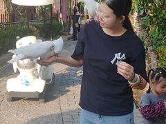 -茯茶镇