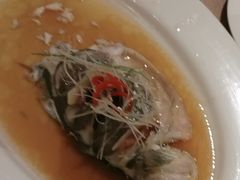 -威斯汀舞台餐厅