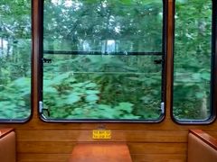 -合肥滨湖国家森林公园