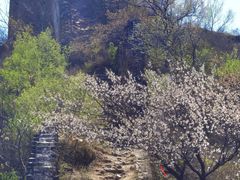 -蟠龙山长城景区
