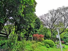 -柳侯公园