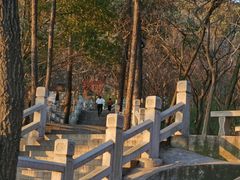 -灵岩山风景区