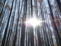 -山王坪喀斯特国家生态公园
