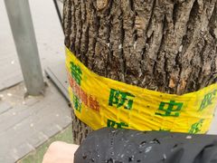 -南楼煎饼(滨江道店)