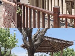 -上海野生动物园