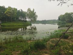 -东郊湿地公园