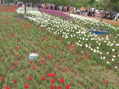 -长春公园(普阳街道)