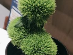 -海立阁海鲜江浙菜(漕河泾印象城店)