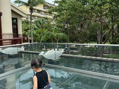 -亚龙湾喜来登·美景台大堂吧