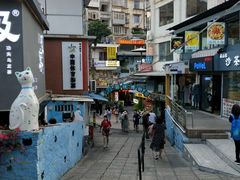 -猫咪博物馆(顶澳仔猫街店)