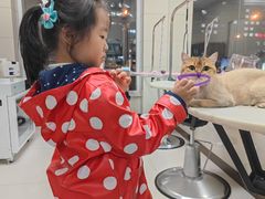 -北京观赏动物医院·24小时大型综合·猫专科·异宠专科