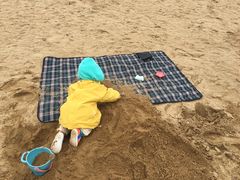 -瑶湖郊野森林公园