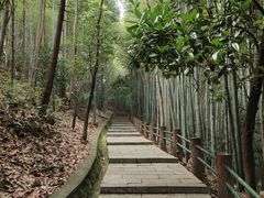 -敬亭山风景名胜区