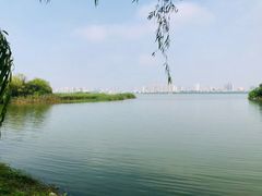 -艾溪湖湿地公园