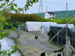 -星巴克(绍兴柯桥柯岩景区店)