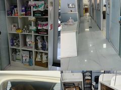 -纳吉亚猫专科动物诊疗中心(蒋宅口分院)