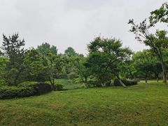 -杭州植物园