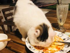 -Cappucimeow猫咪咖啡馆(韦伯时代店)