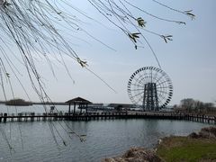 -太湖湖滨国家湿地公园-停车场