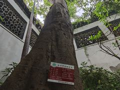-何园