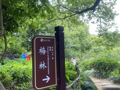 -白马涧龙池景区