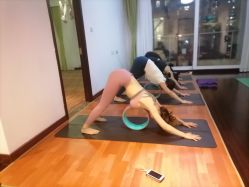 -Yvon yoga 瑜伽·精准体态管理中心