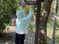 -龙湾潭国家森林公园