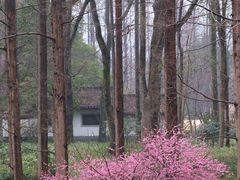 -杭州植物园