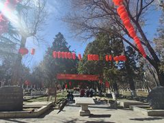 -罗布林卡