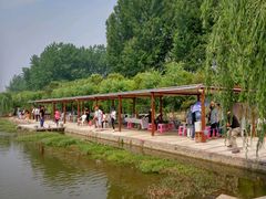 -同銮特种养殖场·龙虾垂钓