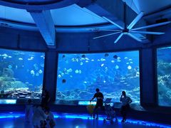 -海合安武汉极地海洋公园