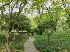 -徐家汇源景区-衡山公园