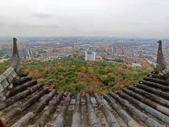 -杭州半山国家森林公园