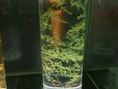 -广东中医药博物馆
