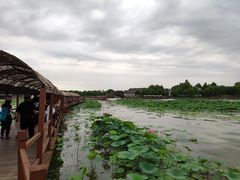 -白洋淀景区