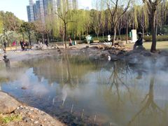 湖-苏州河梦清园环保主题公园