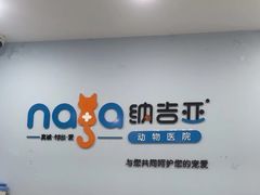 -纳吉亚猫专科动物诊疗中心(蒋宅口分院)