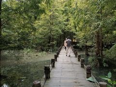 -桤木河湿地公园