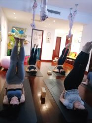 -Yvon yoga 瑜伽·精准体态管理中心