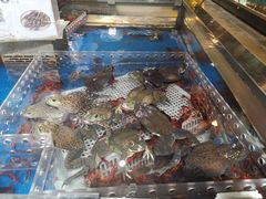 -盒马鲜生(枣园路店)