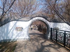 -桃花堤公园