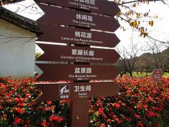 -苏州上方山国家森林公园