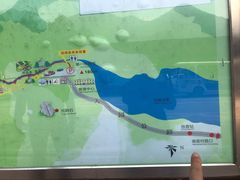 -银瓶嘴森林公园